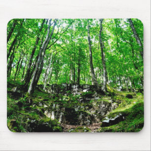Waldwege Wandern im Wales Neath Valley Mousepad