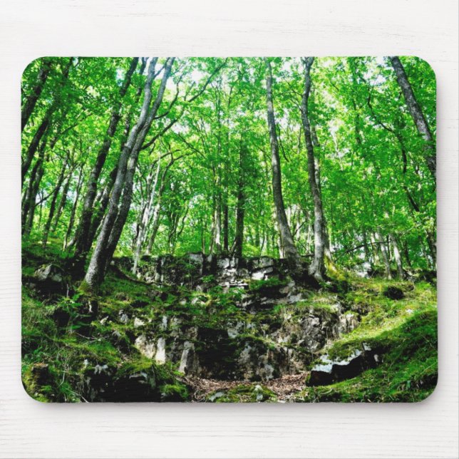 Waldwege Wandern im Wales Neath Valley Mousepad (Vorne)