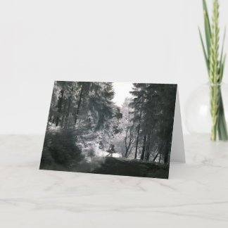 Waldweise/Infrarotphotographie Karte