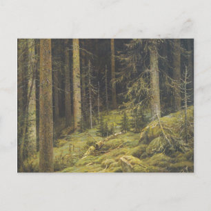 Waldwildnis von Ivan Schischkin Postkarte