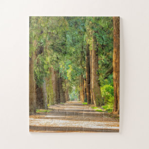 WALDWOLDER FRIEDLICHE TRAIL JIGSAW PUZZLE