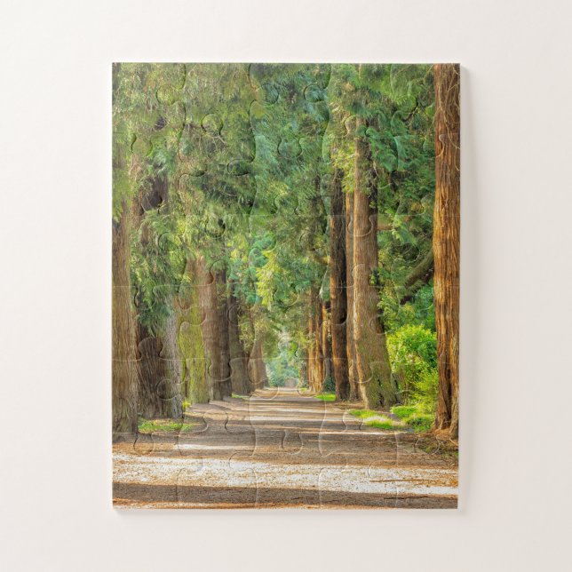 WALDWOLDER FRIEDLICHE TRAIL JIGSAW PUZZLE (Vertikal)