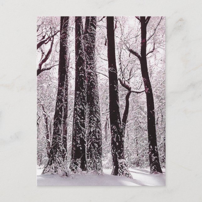 WALDWOODS SNOWWY WINTER SCENERY POSTKARTE (Vorderseite)
