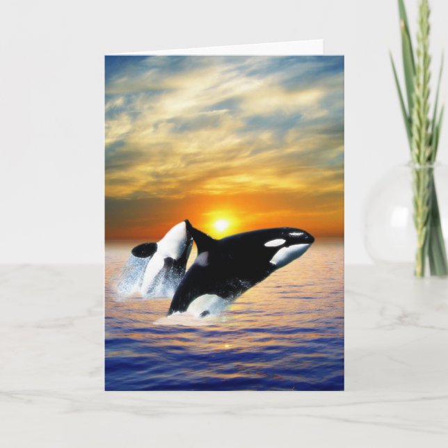 Wale am Sonnenuntergang Feiertagskarte (Vorderseite)
