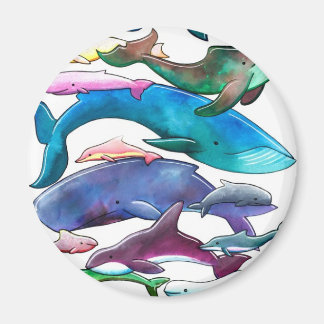 Wale, Delphine und Schweinswale Magnet