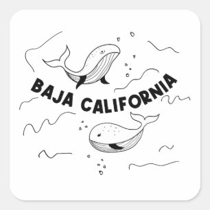 Wale in Baja California Quadratischer Aufkleber