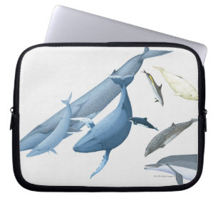 Wale Laptopschutzhülle