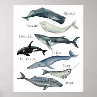Wale Poster