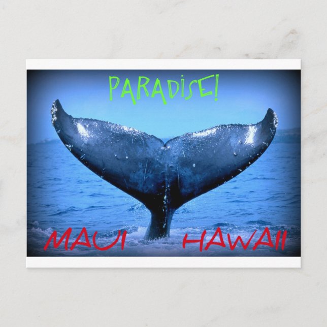 WALE SCHWANZ MAUI PARADISE HAWAII POSTKARTE (Vorderseite)