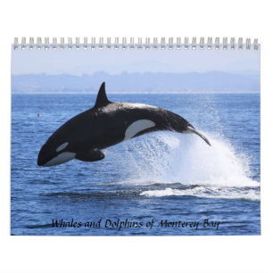 Wale und Delphine in der Monterey Bay Kalender