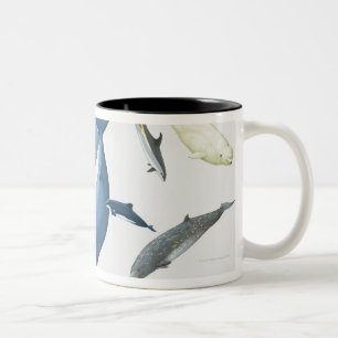 Wale Zweifarbige Tasse