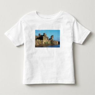 Wales - Caerphilly Castle, mit Blick auf die Kleinkind T-shirt