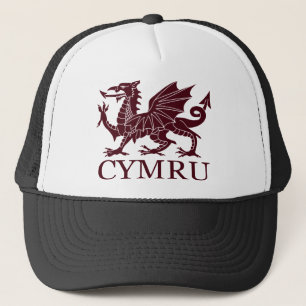 Wales CYMRU Truckerkappe