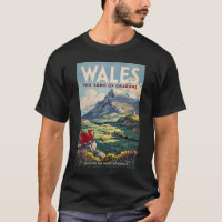 Wales Drachen Illustration Reise Kunst Vintage