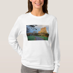 Wales - Ein privates walisisches Schloss nahe St. T-Shirt