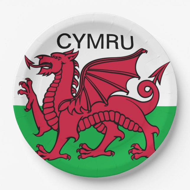 Wales Flag Roter Drache Cymru Welsh Party Pappteller (Vorderseite)