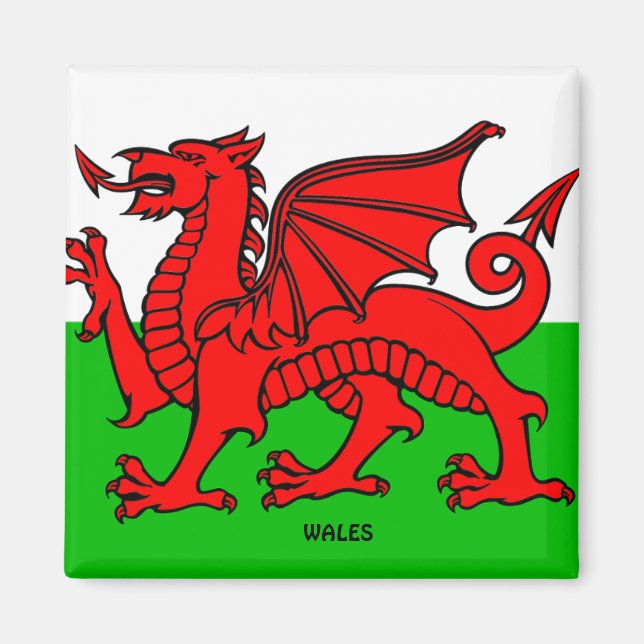 WALES-FLAGGE / DRACHE MAGNET (Vorne)