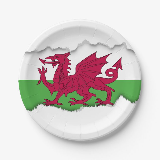 Wales-Flagge Pappteller (Vorderseite)