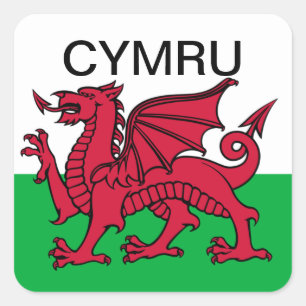 Wales-Flagge Weltmeisterschaft 2022 Roter Drache C Quadratischer Aufkleber