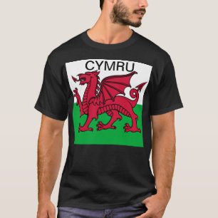 Wales-Flagge Weltmeisterschaft 2022 Roter Drache C T-Shirt