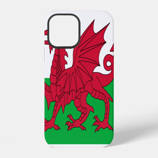 Wales iPhone 12 Hülle (Rückseite)