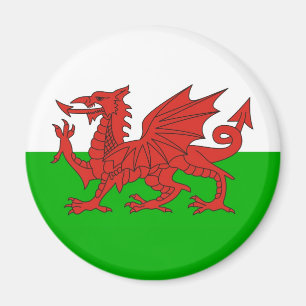 Wales-Landdracheflagge Waliser Briten Magnet