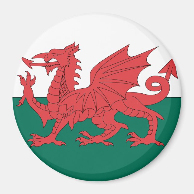 Wales Magnet (Vorne)