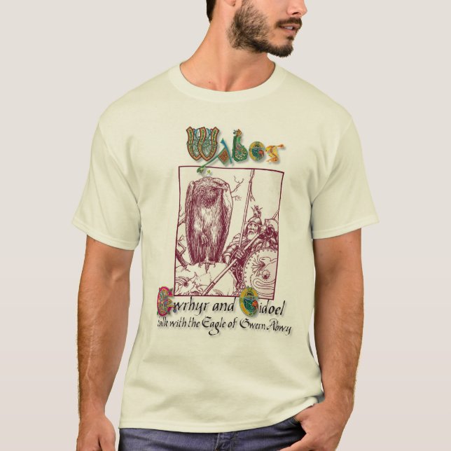 Wales-Mythologie-T-Shirt - Mabinogion T-Shirt (Vorderseite)