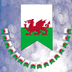 Wales Party Banners, Walisische Flagge / Cymru Hoc