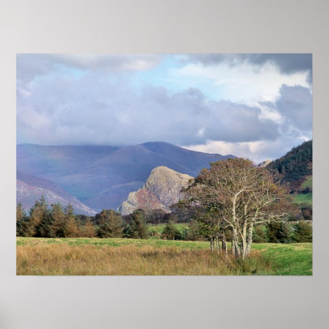 WALES POSTER (Vorne)