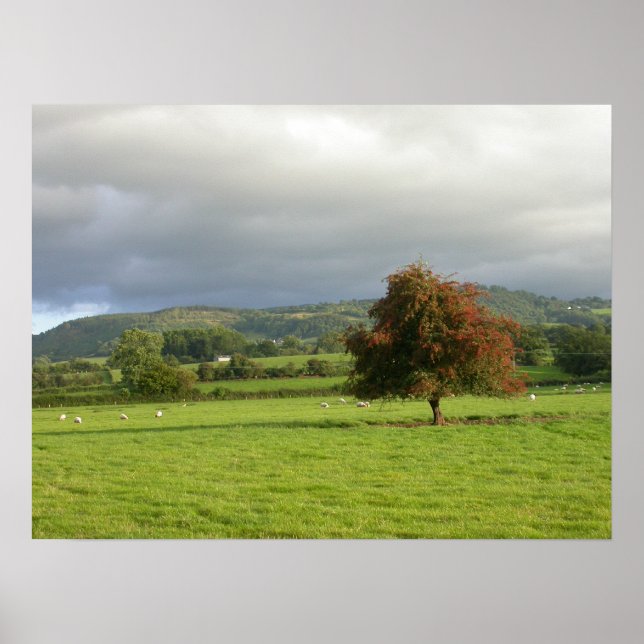 Wales Tree Poster (Vorne)