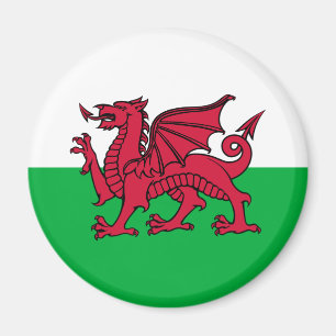 Wales - Walisische Flagge Magnet