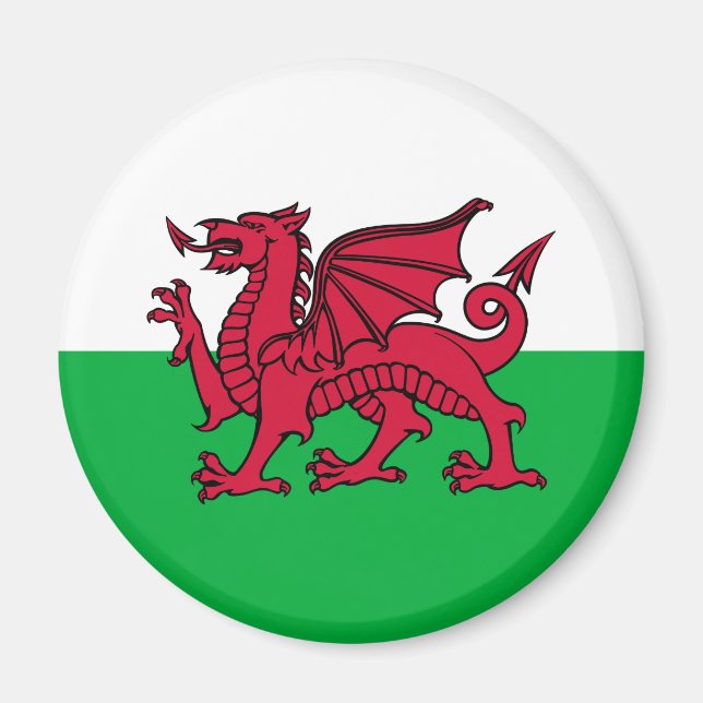 Wales - Walisische Flagge Magnet (Vorne)