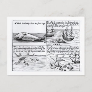 Walfang in Spitzbergen 1611 (Gravieren) (b/w ph Postkarte