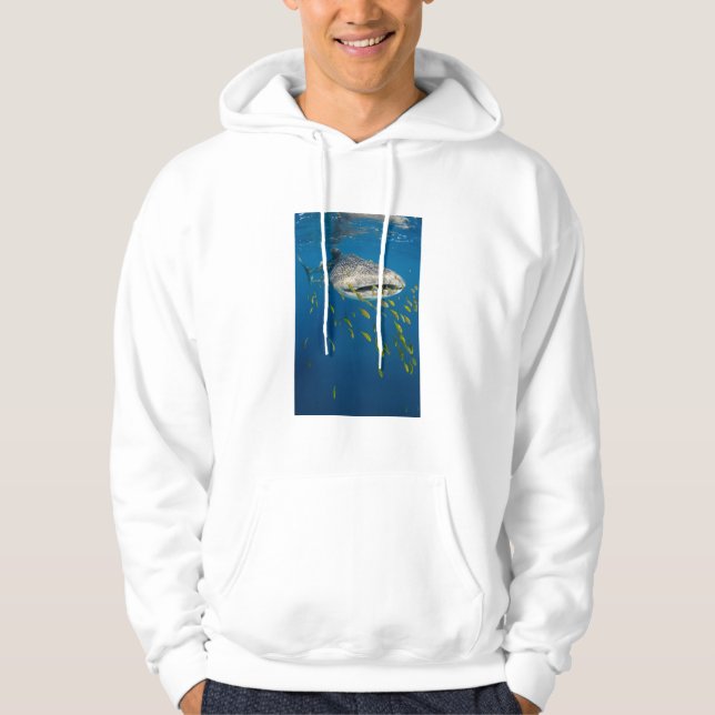 Walhai mit Fisch, Indonesien Hoodie (Vorderseite)