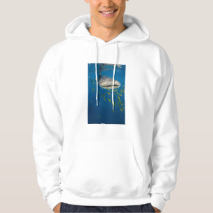 Walhai mit Fischen, Indonesien Hoodie