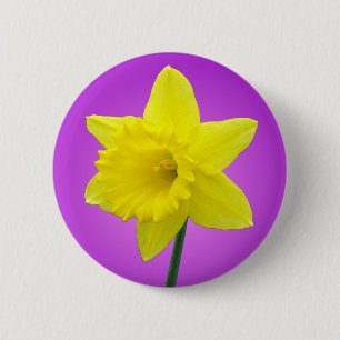 Waliser-Narzisse - III - rund Button