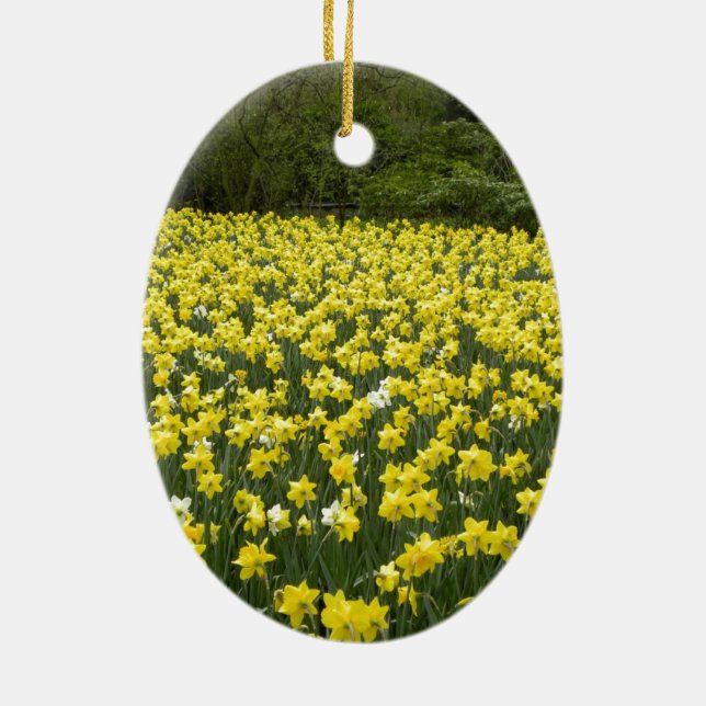 Waliser-Narzissen, Cymru morgens byth Keramik Ornament (Hinten)