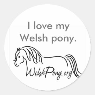 Waliser-Pony u. Pfeiler-Gesellschaft Runder Aufkleber
