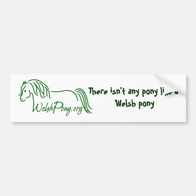 Waliser-Pony u. Pfeiler-Gesellschaft von Amerika Autoaufkleber (Vorne)