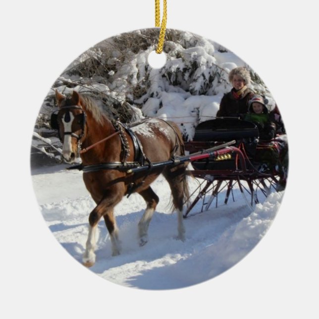 Waliser-Pony u. Pfeiler-Gesellschaft von Keramikornament (Vorne)