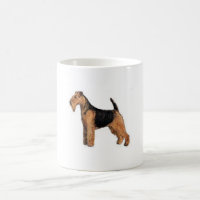 Waliser Terrier
