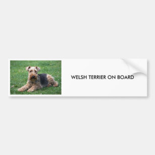 Lakeland Terrier Autofenster Aufkleber Hund an Bord Schild Geschenkidee 