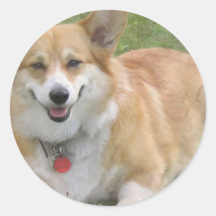 Walisercorgi-Aufkleber Runder Aufkleber