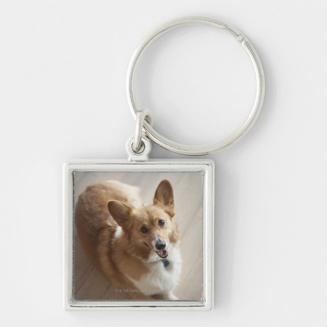 WaliserPembroke Corgihund, der auf hölzernem Boden Schlüsselanhänger (Vorne)