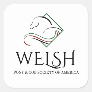 Waliserpony-u. -pfeiler-Aufkleber Quadratischer Aufkleber