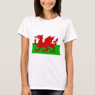 Walisisch / Wales Flag - Cymru Hochwertiges Bild T-Shirt