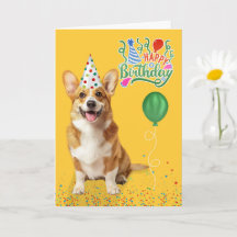 Walisische Corgi-Hund in einer Partyhut auf gelbem