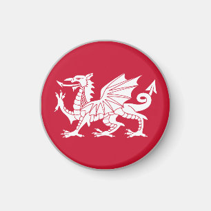 Walisische Flagge Magnet