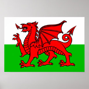 walisische Flagge Poster